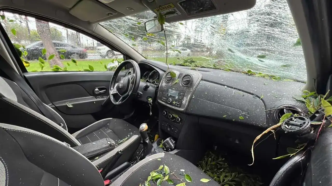 Mersin’de Şiddetli Yağış Felaketi: Devrilen Ağaç 3 Aracı Altına Aldı! 4